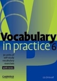 Vocabulary in Practice 6 - Upper Intermediate