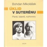 Úklid v suterénu - cena, porovnanie