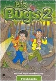 Big Bugs 2 - Flashcards