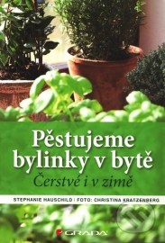 Pěstujeme bylinky v bytě