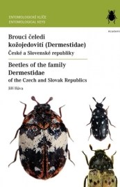 Brouci čeledi kožojedovití (Dermestidae)