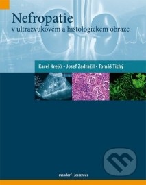 Nefropatie v ultrazvukovém a histologickém obraze