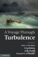 A Voyage Through Turbulence - cena, porovnanie