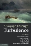 A Voyage Throught Turbulence - cena, porovnanie