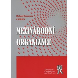 Mezinárodní organizace