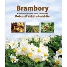 Brambory