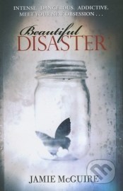 Beautiful Disaster