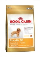 Royal Canin Poodle Adult 7.5kg - cena, porovnanie