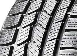 Nexen WinGuard Sport 225/55 R17 97H