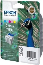 Epson C13T001011