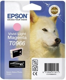 Epson C13T096640