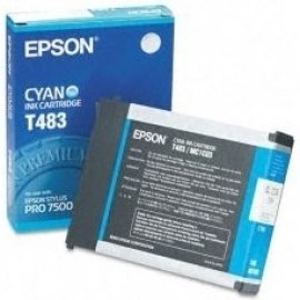 Epson C13T483011