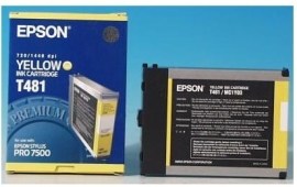 Epson C13T481011