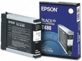 Epson C13T480011