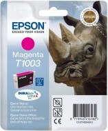 Epson C13T100340 - cena, porovnanie
