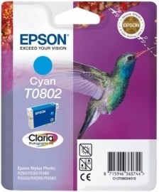 Epson C13T080240