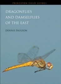 Dragonflies and Damselflies of the East