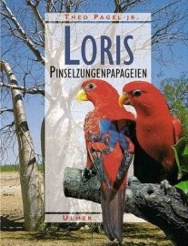 Loris