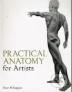 Practical Anatomy for Artists - cena, porovnanie