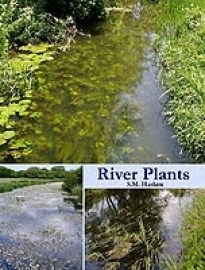 River Plants