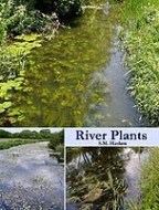 River Plants - cena, porovnanie