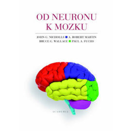 Od neuronu k mozku