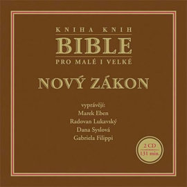 Bible - Nový zákon - Liturgický text