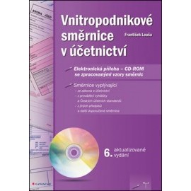 Vnitropodnikové směrnice v účetnictví