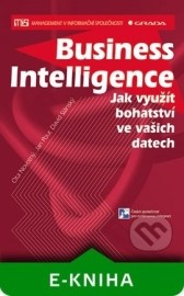 Business Intelligence