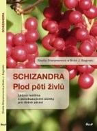 Schizandra Plod pěti živlů - cena, porovnanie