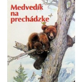 Medvedík na prechádzke