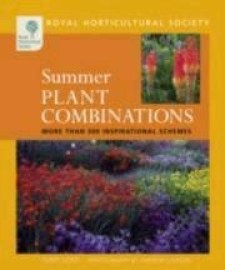 Summer Plant Combinations