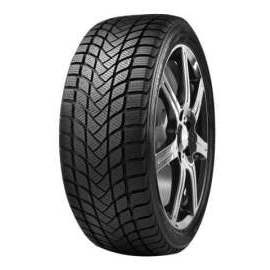 Delinte WD6 165/70 R14 81T