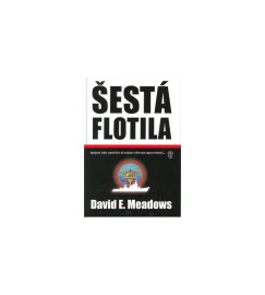 Šestá flotila