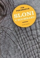 Sloni v soumraku - cena, porovnanie