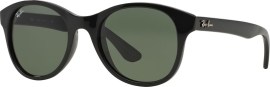 Ray Ban RB4203