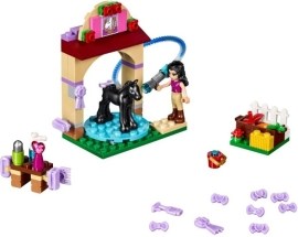 Lego Friends - Umývanie žriebätka 41123