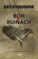 Boh v ruinách - cena, porovnanie