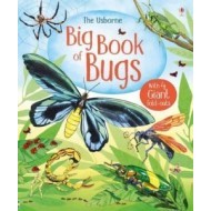 Big Book Of Bugs - cena, porovnanie