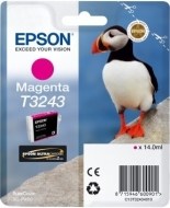 Epson C13T324340 - cena, porovnanie