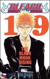 Bleach 19