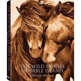 The Wild Horses of Sable