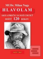 Hlavolam 120 - cena, porovnanie