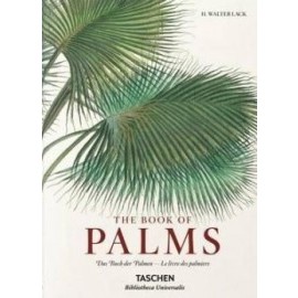 Book of Palms