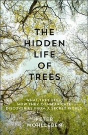 The Hidden Life of Trees