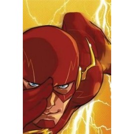 Flash TP Vol 1 Rebirth