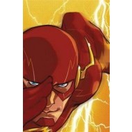 Flash TP Vol 1 Rebirth - cena, porovnanie