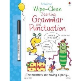 Wipe clean Starting Grammar and Punctuation