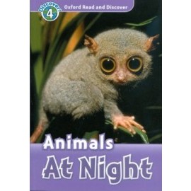 Animals At Night