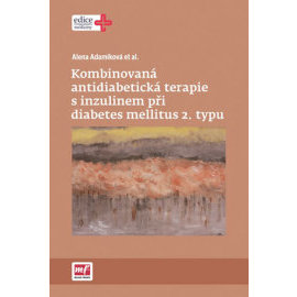 Kombinovaná antidiabetická terapie s inzulinem při diabetes mellitus 2. typu